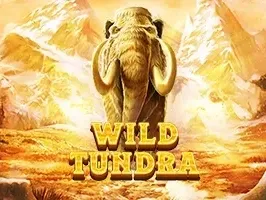 Wild Tundra DNT game icon
